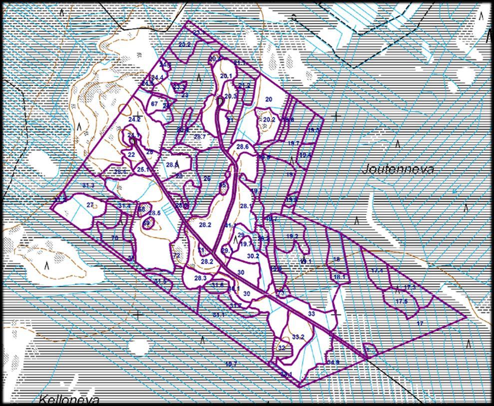 Metsikkökuvioperusteinen metsätalous Suomalainen metsätalous perustuu tilakohtaiseen metsäsuunnitteluun ja metsikkökuvioihin.