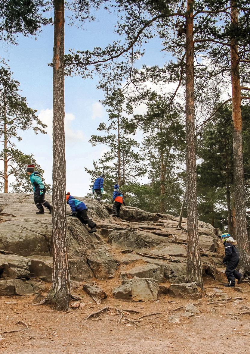 Luonnonläheistä