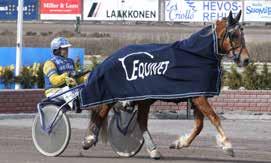 Montén SM-karsinta Lämminveriset monté ryhmäajo 0 m vähint. 000 e. Palk. 0-0-0-00-- e klo 1.0 sininen-valkea CAMIEL KIEVITSHOF (DE) CC0:1,aly 1,ly.