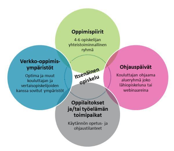 OPPIMISYMPÄRISTÖ JA OPISKELUN PERIAATTEET Oppimisympäristö Oppimisympäristösi koostuu vertaisopiskelijoista, ammatillisen korkea-asteen ja/tai toisen asteen koulutuksesta ja niitä ympäröivästä