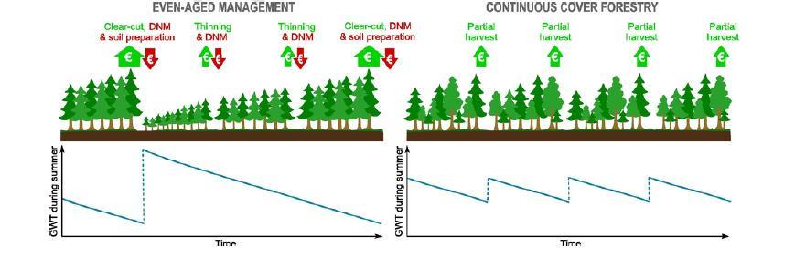 Metsän jatkuvapeitteinen kasvatus suolla Metsän uudistaminen ja kasvatus toteutetaan samanaikaisesti toistamalla hakkuita määrävälein loputtomiin Suometsissä ideana välttää kunnostusojitukset