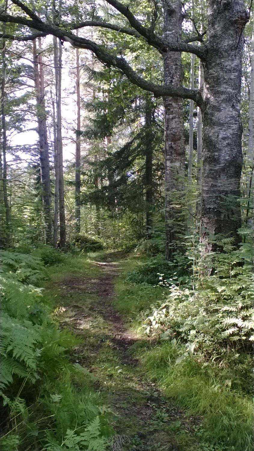 Tänä vuonna kohteiden oltava valmiita