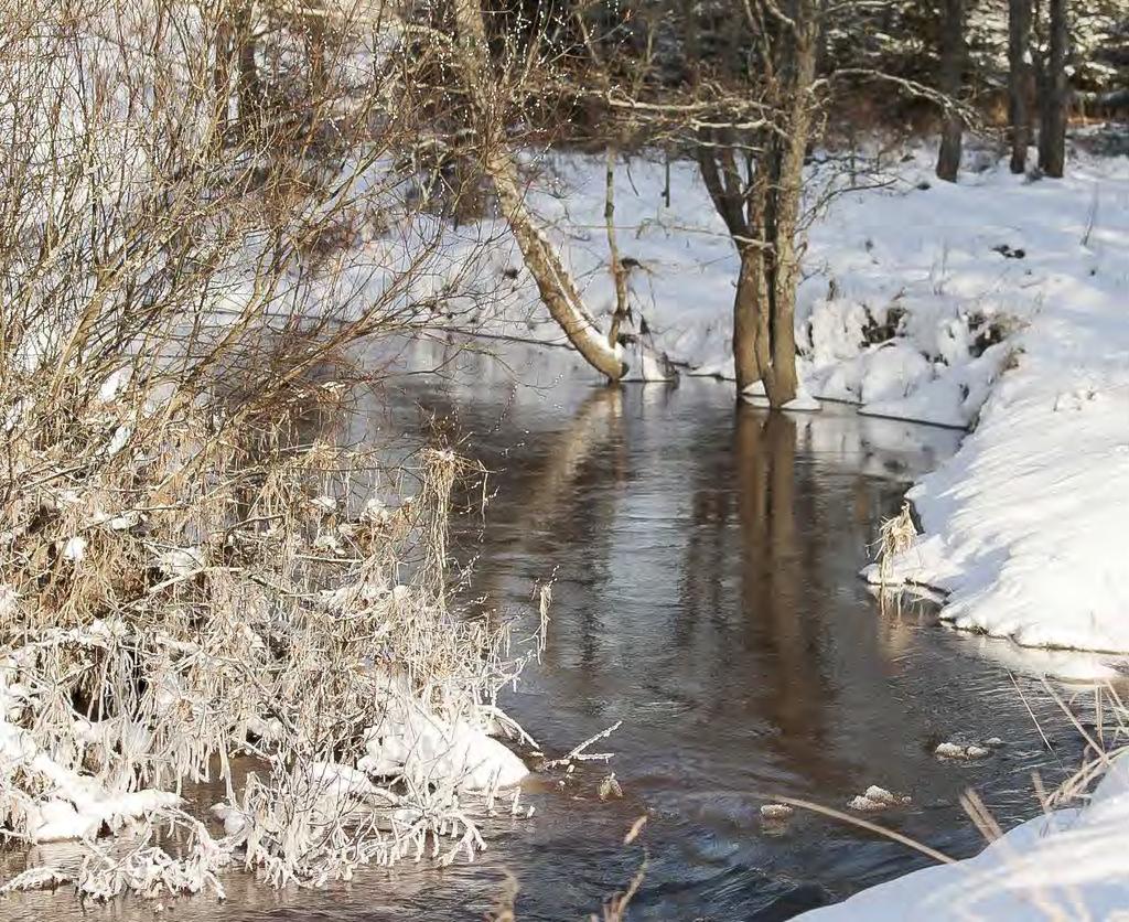 SUOMEN PANKIN VUOSIKERTOMUS 2017 Suomen taloudessa noususuhdanne vahvistui ja kasvu laajeni vientiin.