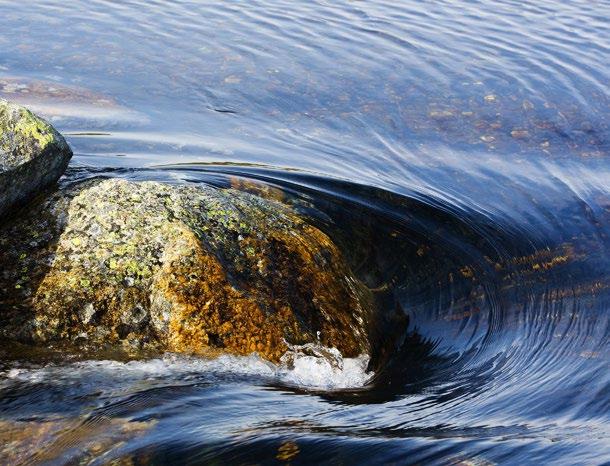 X Tunnus valkoisella pohjalla Tunnus värillisellä pohjalla Tunnuksen värejä, sijainteja tai mittasuhteita ei saa muuttaa X Tunnus mustavalkoisena