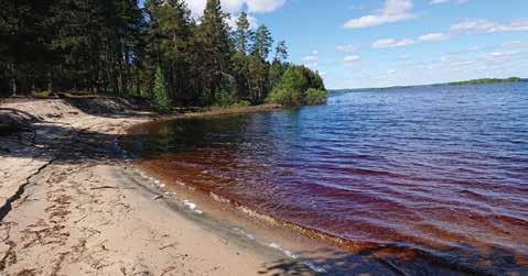Kunta myy tontin 1 2 /m 2 alueilta Hiekkahäikkä,