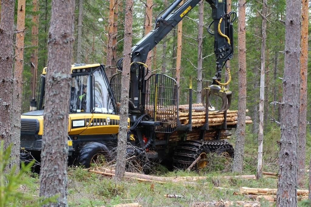 Maailman metsäkoneista