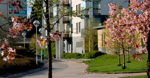 Kerrospohjat 8.