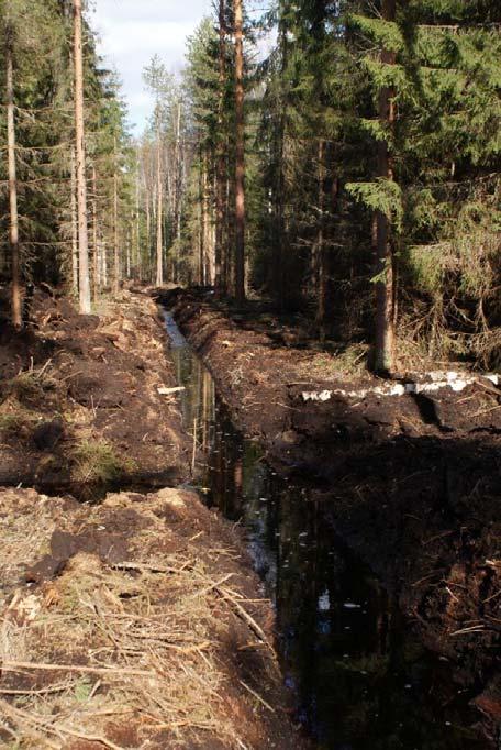 Suosta osaksi kestävää metsäksitaloutta? luonnon monimuotoisuus suolajiston kato vesistövaikutukset kiintoaines ja ravinnepäästöt ilmastovaikutukset kasvihuonekaasupäästöt Miten tästä eteenpäin?