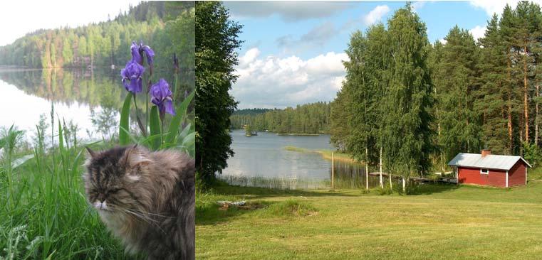 SISÄLLYSLUETTELO 2 14 KAUPUNGIN, ESSOTEN, YRITTÄJIEN JA YHDISTYSTEN PALVELUHAKEMISTO 15 SUOMENIEMEN ALUEJOHTOKUNTA 16 SUOMENNIEMEN VALOKUITUHANKE 17 SUOMENNIEMEN KIRJASTO / ASIOINTIPISTE 18 TONTIT 19