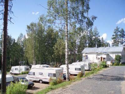 050 5895657 sähköpos : mesikadet@gmail.