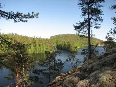 SUOMENNIEMEN RETKEILYREITIT Irja Hannosen luontopolku Irja Hannosen polku on 3,8 km pitkä luontopolku, joka kiertelee Kuolimon rannoilla ja Kuituran vanhojen metsien suojelualueella (37 ha).