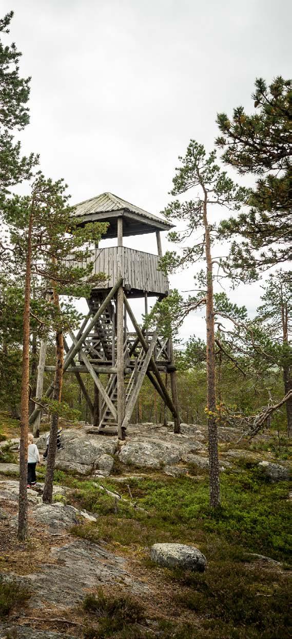 tehostevärinä. 21