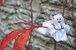 Pian jo pääsen tekemään Halloweenjuhlavalmisteluja! Olen vihdoin päässyt kiipeämään ikkunan kautta takaisin kotivinttiin!