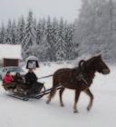 Päivi Sain maalatuksi kukka-aiheen valmiiksi. Tänään oli minun virallinen syntymäpäivä.