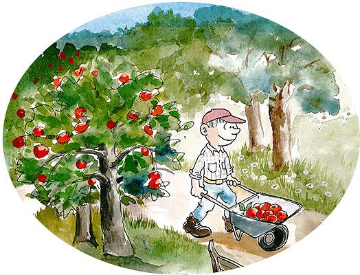 Omenapiirakka Piirakkapohja 4 kananmuna 3 dl sokeria 2 dl sulatettua margariinia 6 dl vehnäjauhoja 4 tl leivinjauhetta 3 tl vaniljasokeria 2 dl laktoositonta maitoa Sekoita munat ja sokeri, lisää