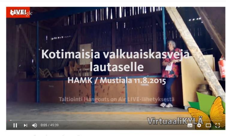 Raija Tahvonen Lukesta: härkäpapu on monikäyttöistä ja terveellistä. Jaakko Nuutila Lukesta: kotimaisia valkuaiskasvituotteita pitää olla paremmin saatavilla kaupoissa.