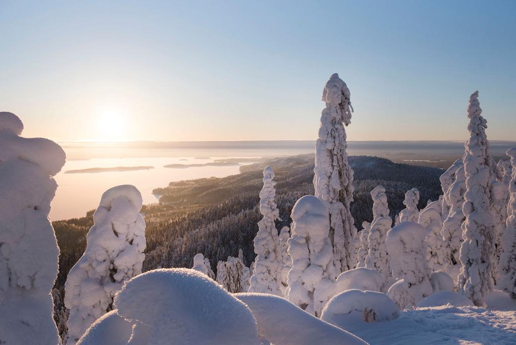 Jos kuvissasi on luontoa tai ulkokuvaa, valitse ne