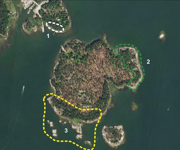 Kuva 17. Kuvaote Lilla ja Stora Bodön luontoselvityksen arvokkaiden luontokohteiden rajauksista (Ympäristösuunnittelu Enviro Oy 2011).
