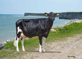 Holstein-käyttölista 1/2018 PUOLUSTUS ON PARAS HYÖKKÄYS Liity VikingDefence TM -voittajajoukkueeseen. VikingGeneticsin sonnit ovat karjasi parhaita puolustajiasi.