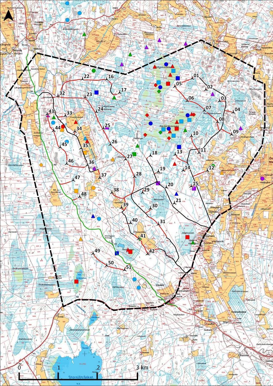 Kuva 106: Pesivät