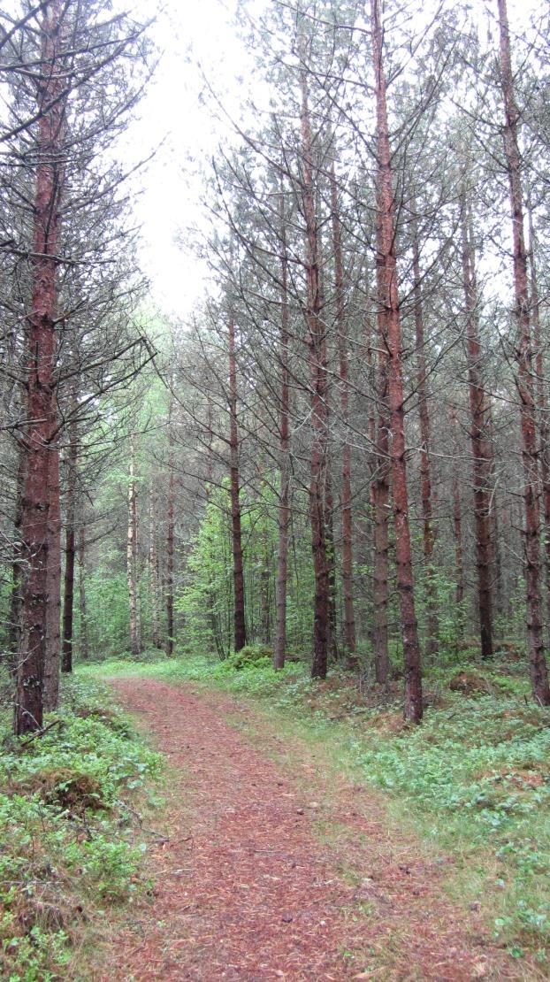 TÖLBY, NORRSKOGEN, KORTTELIT 1 20 5
