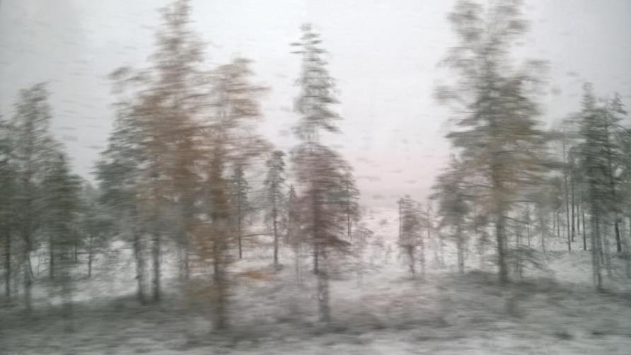 Mitä on tarpeellista suunnitella?