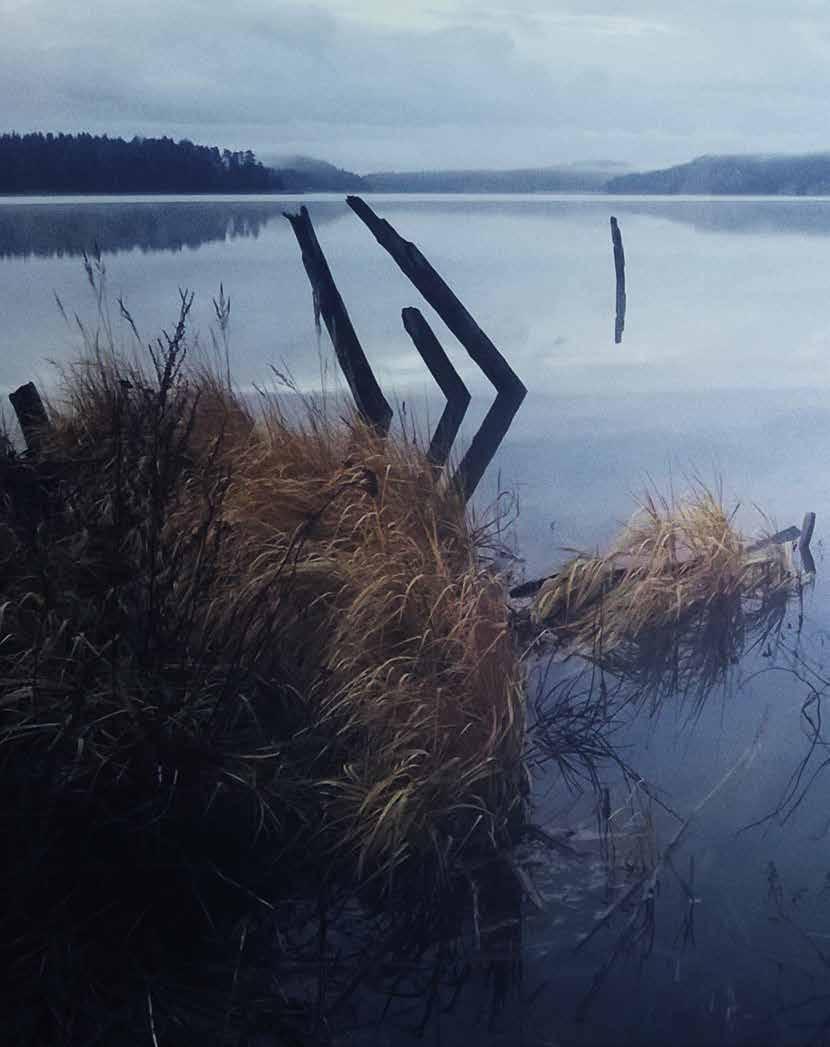 Opinto-opas Syksy