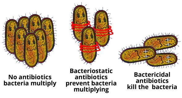 Miten mikrobeista päästään eroon? bakterisidi tappaa bakteerit vs. bakteriostaattinen = bakteerien kasvun estävä fungisidi tappaa sienet vs.