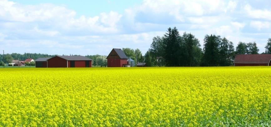 peruspalveluiden ja infran