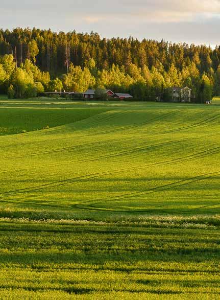 Autoa en tarvitse, sillä pyörällä pääsee ja kävely avaa aistit virkeimmilleen.