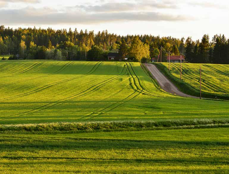 3 Erottele jyvät akanoista ja asu mukavasti ilman remontteja ja pihatöitä. Kun valitset kodinpaikaksesi Nurmijärven Tähkäkorttelin, korjaat asumisen parhaimmista puolista huippusadon!