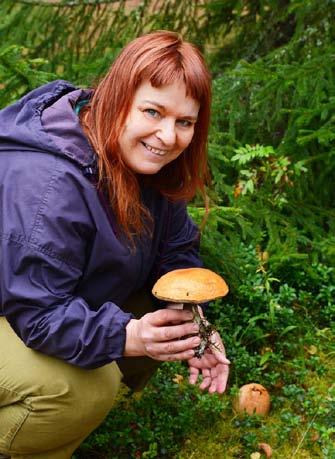 ruokasientä. Kirjasta saat vinkkejä siitä, kuinka voit valmistaa esimerkiksi sienirieskaa, sienikeittoa ja tattipizzaa.