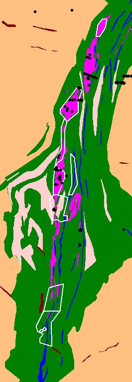 Kuva 4. Kartta Saarikylän alueelta suoritetuista kairauksista (Lopen kairasydäntietokannan mukaan) geologisella kartalla. Rauenneet valtaukset valkoisella rajauksella. Fig 4.