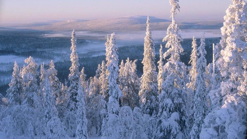 Terveyttä kansallispuistoista ohjelma 2010 Päämääränä on kansanterveyden edistäminen