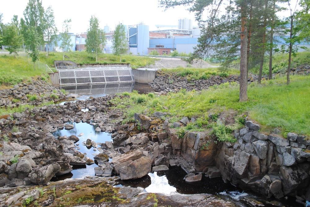 EI rgiane t y e O t EK erki m Jämsänjoki, vesittämätön luonnonuoma