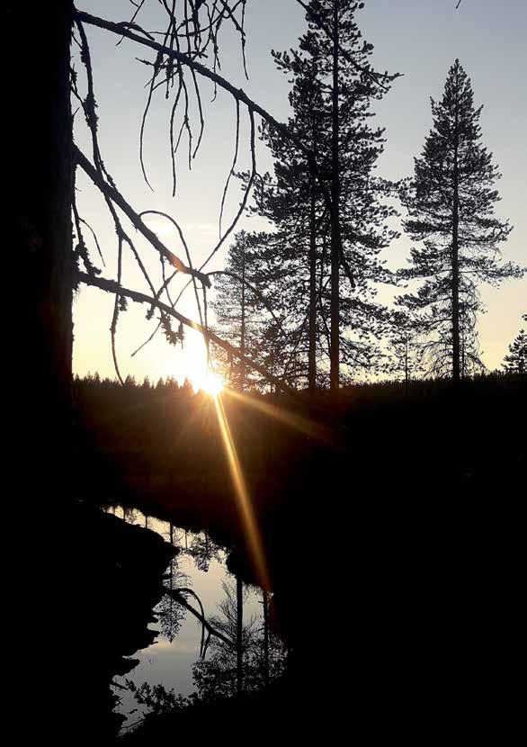 Palovarvikonlampi Kemijärven yhteismetsä Vapaudenkatu 8 A 4 98100 KEMIJÄRVI Puh.