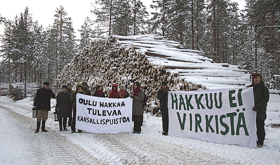 Oulun Sanginjoen metsän linnusto ja sen muutokset Varpuspöllö kuuluu Sanginjoen metsän vakioasukkeihin, vaikka sitä ei linjalaskennoissa helposti havaitakaan.