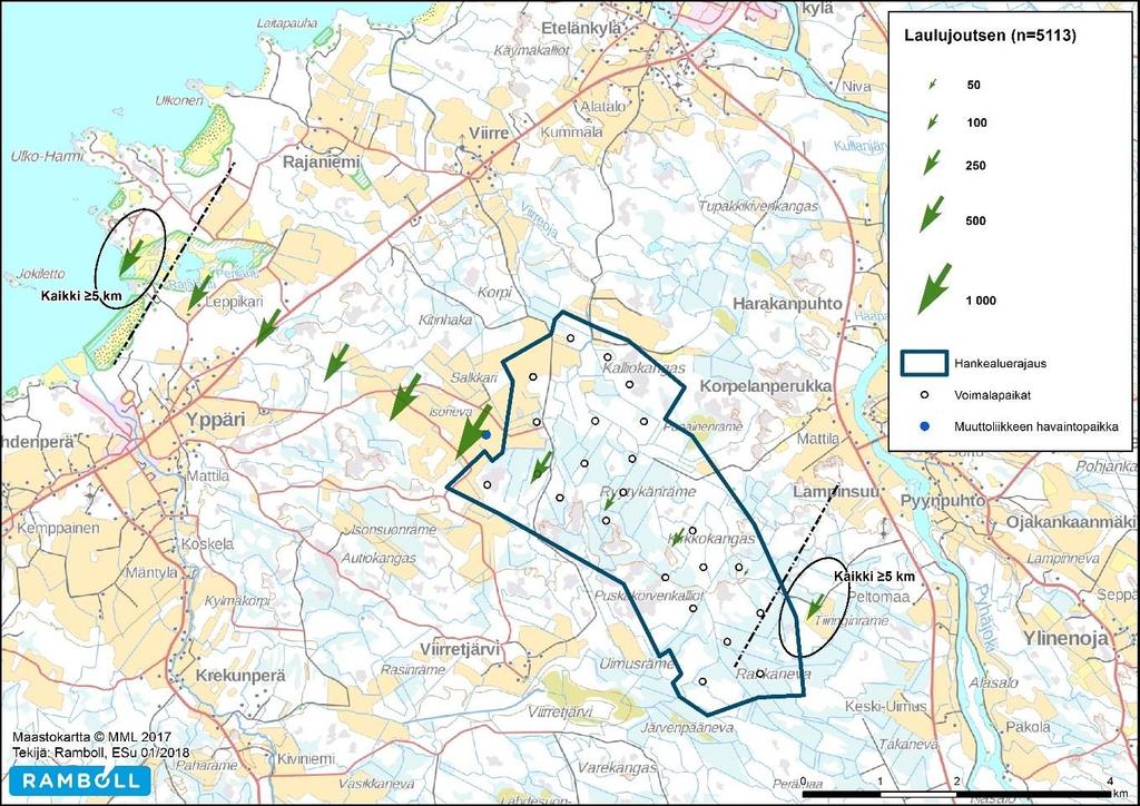 Kuva 7. Laulujoutsenen syysmuutto maastohavainnoinnin perusteella. Hankealueen kevätläpimuuttokannaksi esitetään seuraava arvio ja perusteet.