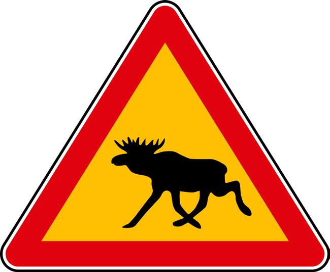 TIEDOTUKSET JA TAPAHTUMAT 12.9.2018 TIEDOTE MAANOMISTAJILLE JA TIELLÄ LIIKKUJILLE Kevään lentolaskennan perusteella arvioituna Hailuodon hirvikanta on edelleen runsas.