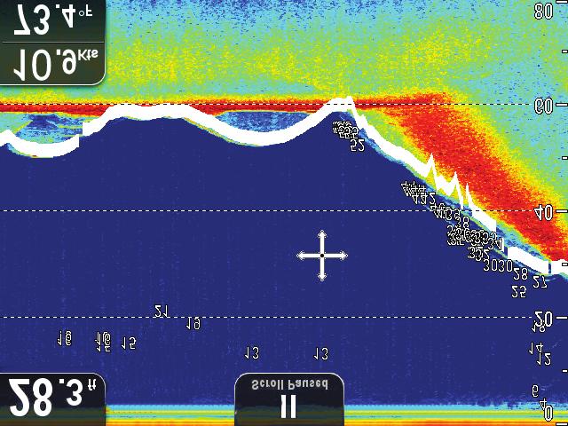 DownVision käyttää CHIRP-prosessointia, jossa kaikupulssien keskitaajuus on 350 khz ja jonka avulla kaikukuvan erotuskyky on parempi kuin perinteistä kaikukanavaa käytettäessä.