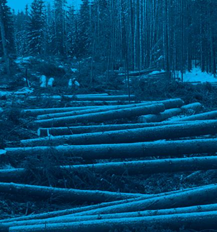 PUUNKORJUUPALVELU ON VARTEENOTETTAVA VAIHTOEHTO KORJUUPALVELUMME VAHVUUKSIA OVAT: Metsänomistajan omien tavoitteiden huomioiminen Paikalliset, ammattitaitoiset yrittäjät Tukkipuun tarkka talteenotto