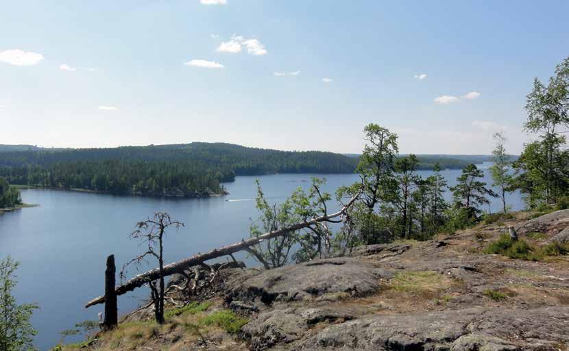 Valta Pisamalahden linnavuorelta aukeavat huikeat maisemat Saimaalle. Täältä on ollut hyvä valvoa vesireittejä. Kuva Leena Lahdenvesi-Korhonen.