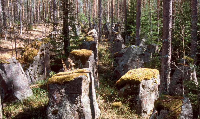 Elokuussa paikalla pidettiin maanpuolustusjuhla, jonka yhteydessä uusi muistomerkki paljastettiin liki parisataapäisen yleisön läsnä ollessa.