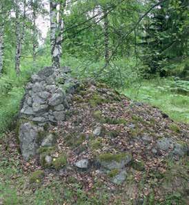 Metsän keskelle jäänyt viljelyröykkiö Mikkelin Kallioharjulla. Kuva Leena Lahdenvesi-Korhonen. Kaskiröykkiöillä on arveltu olleen suotuisia vaikutuksia alueen pienilmastoon.