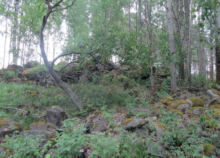 Nykyisin suurin osa vanhoista kaskialueista on metsittynyt ensin koivikoiksi ja myöhemmin sekametsiksi ja kuusikoiksi.