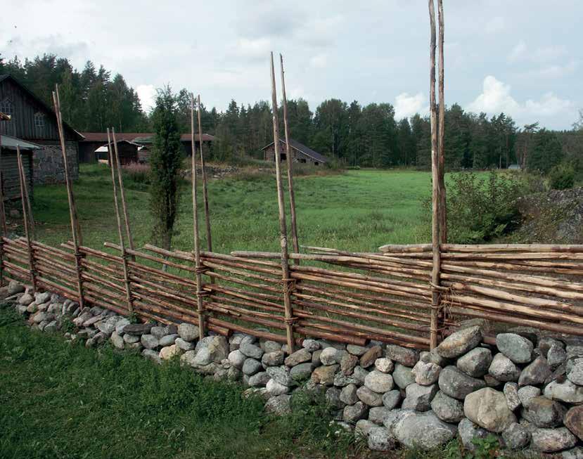 Pisteaidalla korotettua kiviaitaa Ristiinassa Pien-Toijolan talonpoikaismuseossa. Kuva Leena Lahdenvesi-Korhonen.