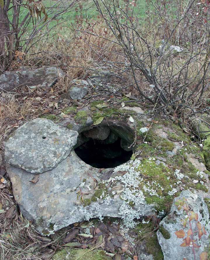 PIHAPIIRI Kivikaivot Pyörökivistä muurattu kivikaivo Mikkelissä.