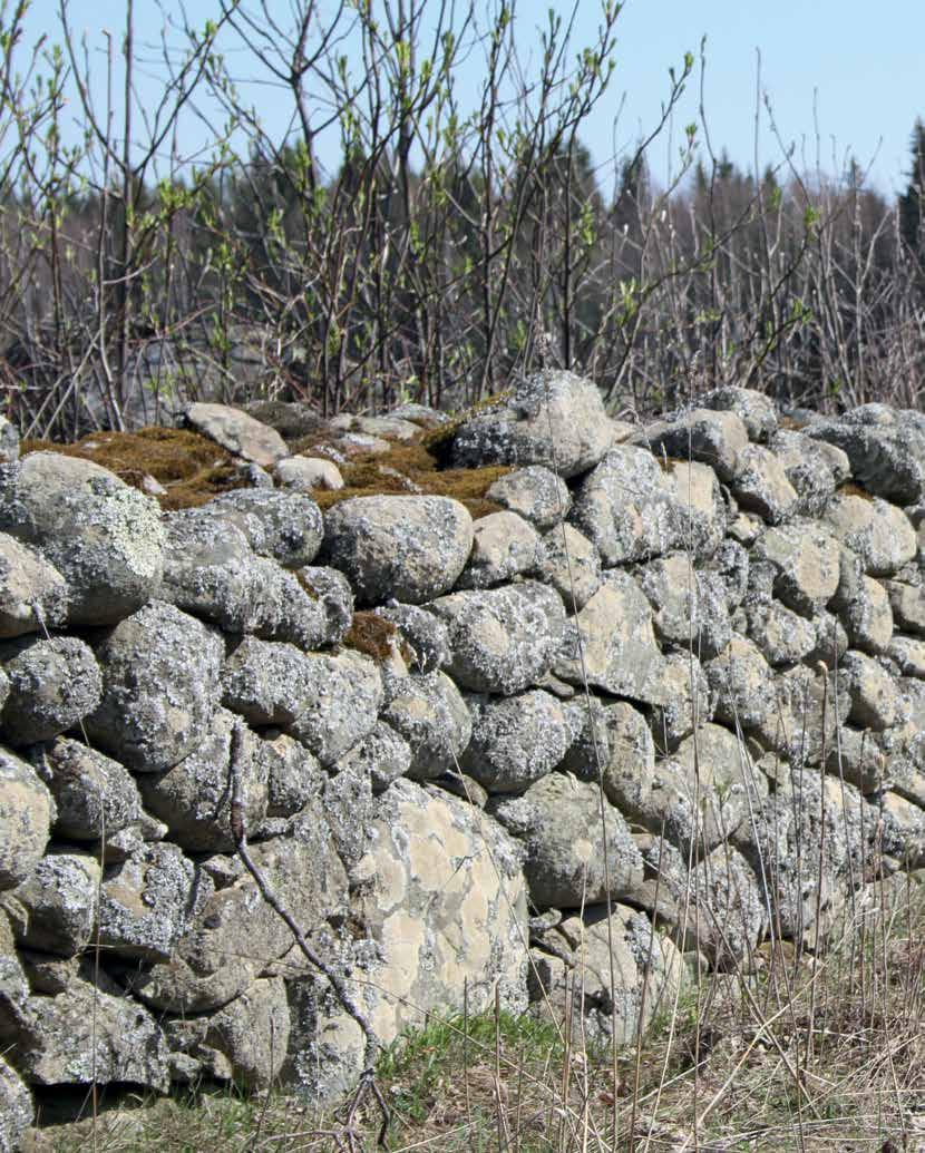 KIRJALLISUUTTA HISTORIALLISET KIVIRAKENTEET JA NIIDEN SUOJELU Haggren, Georg (2015). Keskiajan arkeologia: Rakennukset ja rakennustekniikat.