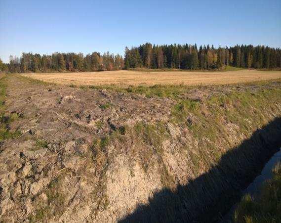 Pientareen kasvillisuus on tuhoutunut ojan kunnostustöiden yhteydessä.