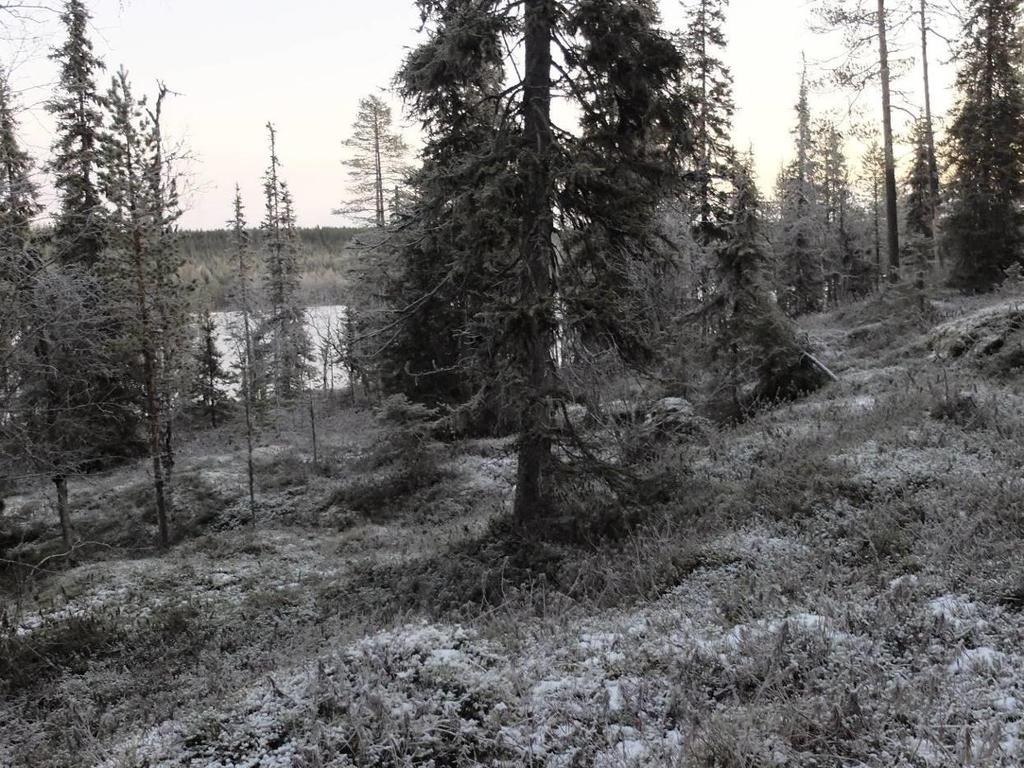 Ratkaisun valinta ja perusteet Maanomistajien, kaavoittajan ja kaupungin kanssa käytyjen keskustelujen ja neuvottelujen